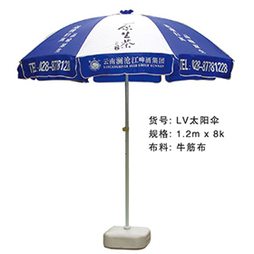 LV91视频网站免费入口